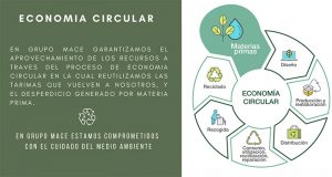 Economia Circular